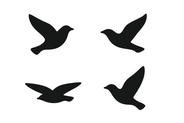 Vector illustration of four stylized birds in flight showcasing different wing positions and movements