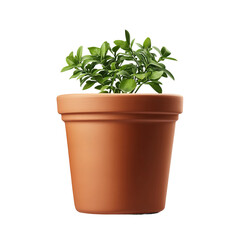 Fototapeta premium A vibrant green plant flourishing in a terracotta pot, symbolizing growth and life. The pot is set against a simple backdrop