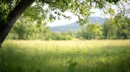Fototapeta premium Serene summer landscape featuring a tree's branches framing a sunlit meadow and distant hills, creating a peaceful, idyllic scene. : Generative AI