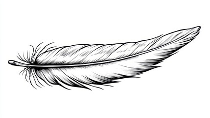 Isolated detailed drawing of a feather on white background. Great for use in designs about nature, writing or freedom.