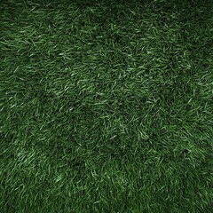 Green grass texture background