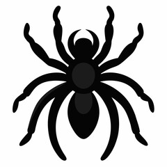 Minimalist Tarantula Silhouette Vector