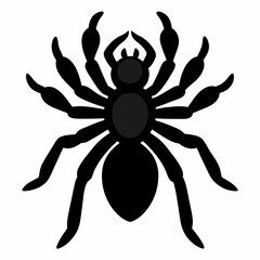 Minimalist Tarantula Silhouette Vector