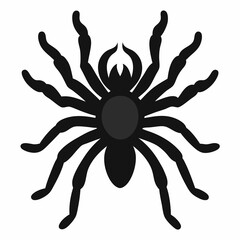Minimalist Tarantula Silhouette Vector