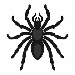 Minimalist Tarantula Silhouette Vector