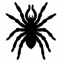 Minimalist Tarantula Silhouette Vector