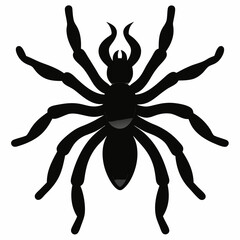 Minimalist Tarantula Silhouette Vector