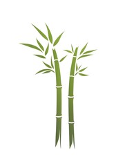 Obraz premium Serene Bamboo Forest: A Symbol of Zen, Harmonious Nature, and Eco-Friendly Wellbeing