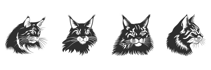 Maine Coon Cat Silhouette Set. Feline Elegance And Distinctive Features Isolated Vector Illustration Collection