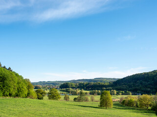 Obraz premium trees and wetlands of river Saar in national park saar-hunsrueck near metlach in germany