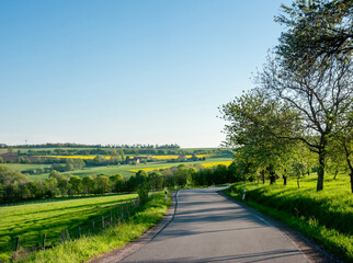 fresh spring colors on trees and fields in german nature park saar-hunsrueck under blue sky