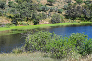 Lac dans le centre de la Namibie
