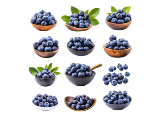 Collection of fresh blueberry