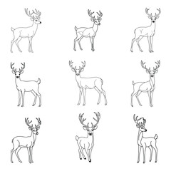 Deer Line Art Illustrations Set