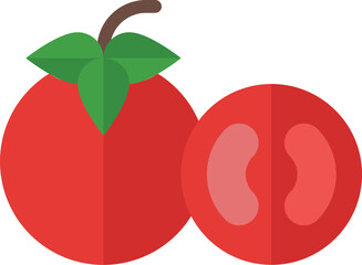 tomato illustration on a white background     