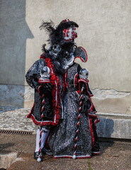 Disguised Couple - Annecy Venetian Carnival 2013