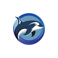 dolphin vector illustration
