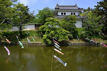 茨城県の土浦城（亀城）こどもの日の鯉のぼりの風景。