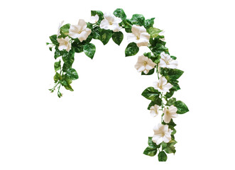 Flower vine bush