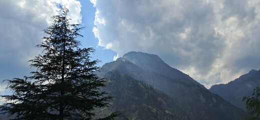 Majestic Mountain Vista with Himalayan Cedar