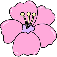 Pink Hibiscus Flower with Stamen Inside