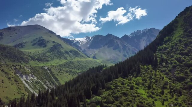 Aerial footage of Ala Archa National Park, featuring alpine trees in a valley surrounded by mountains and clouds, capturing the majestic landscape of Kyrgyzstan.