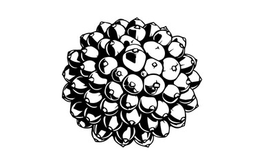  Blue Thimbleberry Cluster in Bold Outline