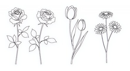 Elegant Line Art Floral Collection: Roses, Tulips, and Daisies