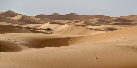 Golden Sand Dunes of Morocco