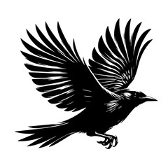 crow with wings vector