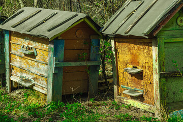 Abandoned traditional beehives near rural home. A symbolic image of global bee population