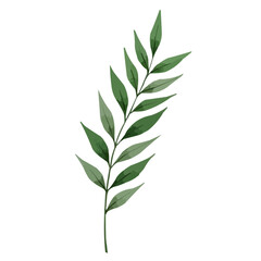 Obraz premium green leaves watercolor