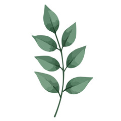 Fototapeta premium green leaves watercolor