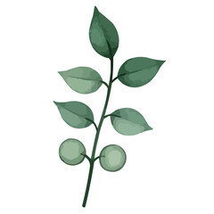 green leaves watercolor