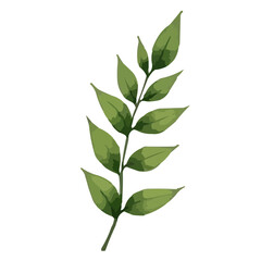 Fototapeta premium green leaves watercolor