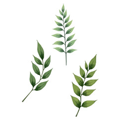 Obraz premium set of green leaves watercolor