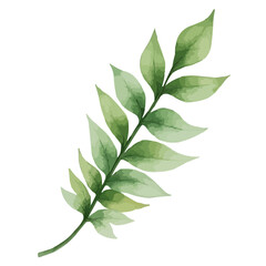 green leaves watercolor