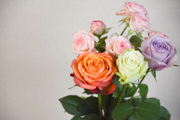 カラフルな薔薇
