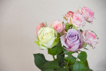 カラフルなばら