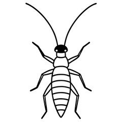 Sleek Earwig Outline Illustration