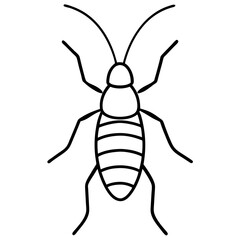 Sleek Earwig Outline Illustration