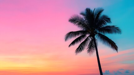 Solitary palm tree against a vibrant, colorful sunset sky