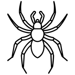 Sleek Wolf Spider Outline Illustration