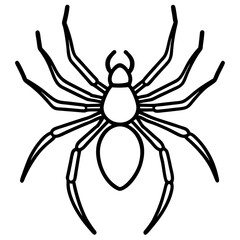 Sleek Wolf Spider Outline Illustration