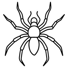 Sleek Wolf Spider Outline Illustration