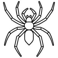 Sleek Wolf Spider Outline Illustration