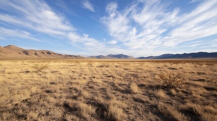 Vast desert landscape under a brilliant blue sky, showcasing rolling hills and sparse, dry vegetation under a sky filled with wispy clouds.  The scene evokes a sense of serenity and th : Generative AI