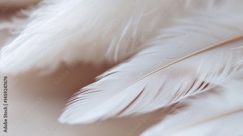 Poster Close-up view of delicate, white bird feathers, showcasing intricate details and soft, light texture.  The feathers are arranged in an overlapping pattern, creating a sense of calm and : Generative AI