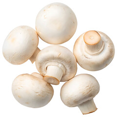 Heap of fresh white button champignons in different positions, button mushrooms, close up isolated...