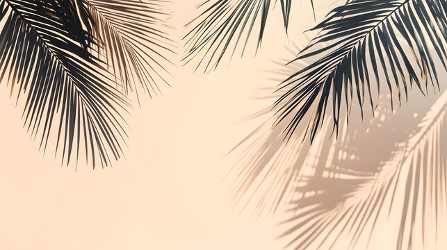 Tropical leaf shadows on a soft peach background.